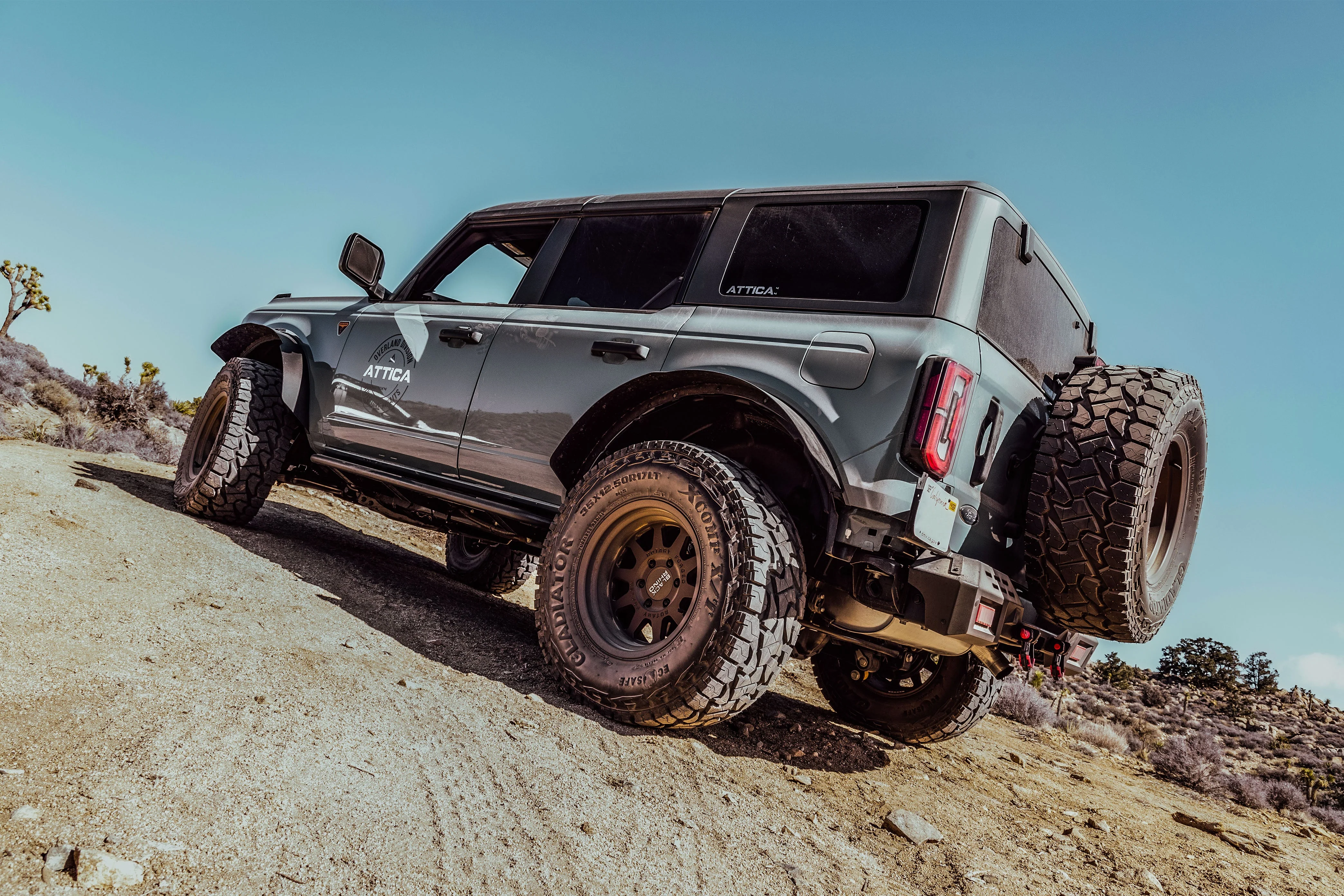2021-2025 Ford Bronco Terra Series Rear Fender Flares - Image 3
