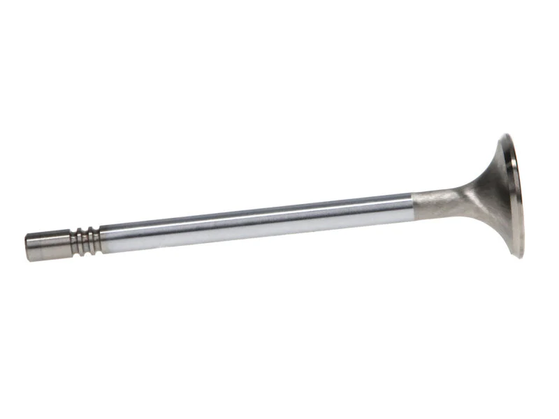 Manley Ford Modular Coyote 5.0L Gen III Race Master Series Exhaust Valve Set - 1.260in Dia - Image 2