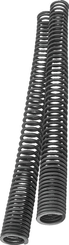 Progressive Fork Spring Kit - Image 2