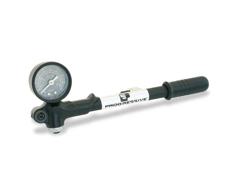 Progressive Gp3 0-300 Lb Mounted Pump - Image 2